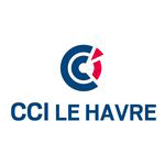 logo de la société CCI SEINE ESTUAIRE