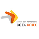 logo de la société CCI&CAUX